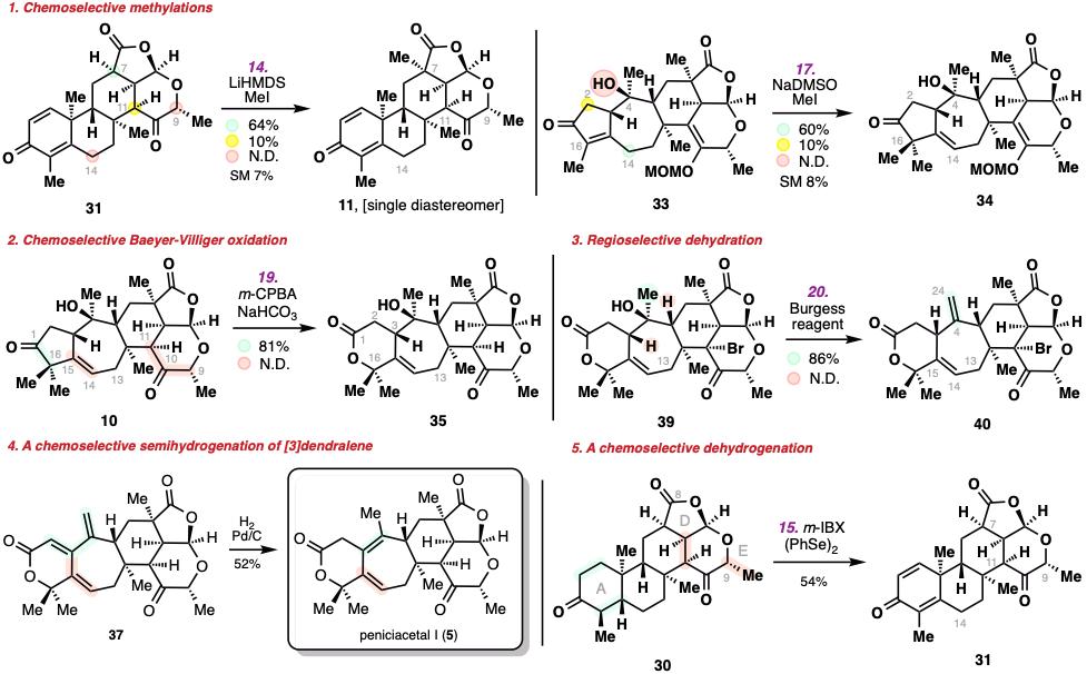 20250211-JACS-李超-2. 多步化学选择性和区域选择性转化的突破。.jpg