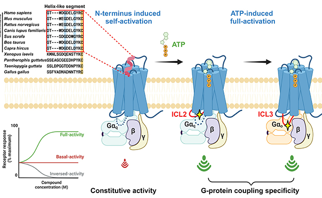 空白背景new1 - 副本 (2).jpg