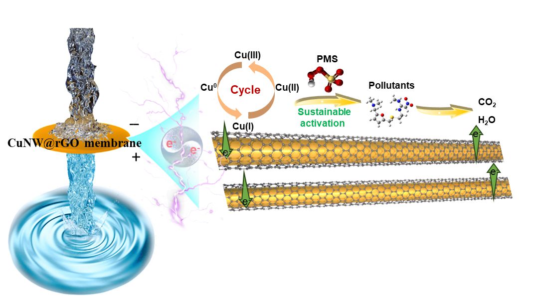 20250827-Picture 1-SIGS-SIGS.jpg